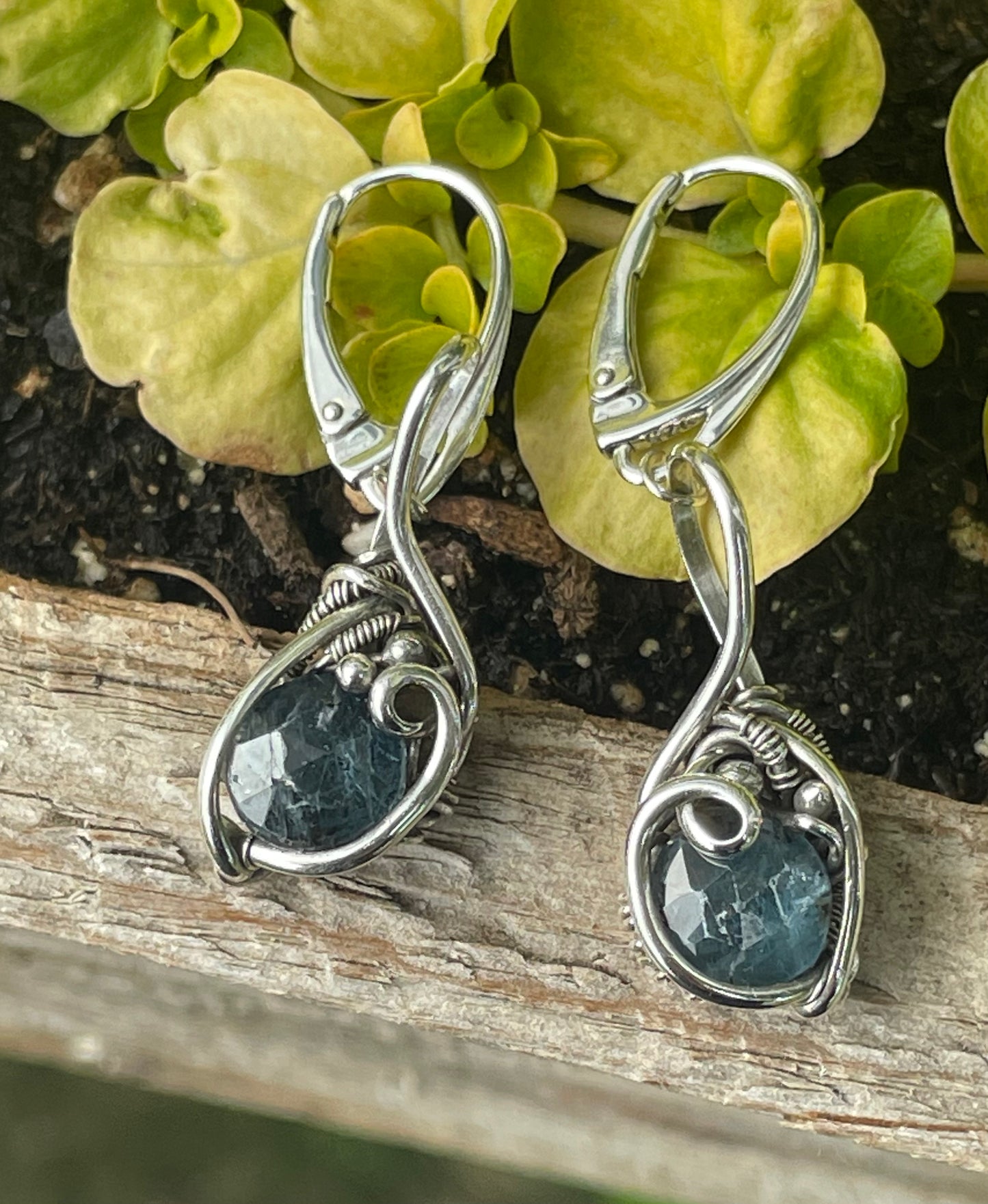 Blue kyanite wire wrapped earrings