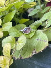 Load image into Gallery viewer, Watermelon tourmaline ring
